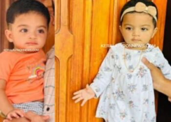 കൊതുകിനെ തുരത്താനുള്ള കീടനാശിനി അകത്തുചെന്നു; ഒന്നര വയസുകാരി മരിച്ചു