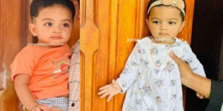 കൊതുകിനെ തുരത്താനുള്ള കീടനാശിനി അകത്തുചെന്നു; ഒന്നര വയസുകാരി മരിച്ചു