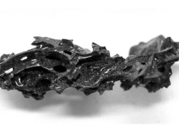 വെസൂവിയസ് പർവ്വതം ഈ പുരാതന തലച്ചോറിനെ സ്ഫടികമാക്കി മാറ്റി. എങ്ങനെയെന്ന് ഇതാ